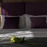Unique Boutique Hotel